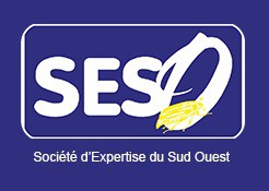 SESO Diagnostics Immobiliers, Professionnel du Diagnostic Immobilier en Dordogne