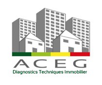 ACEG Diagnostics immobilier, Professionnel du Diagnostic Immobilier dans la Loire
